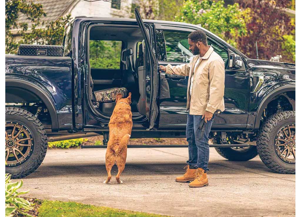 25-C RAM 1500 CREW CAB POWERSTEP PLUG & PLAY