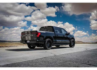 22-C F150 LIGHTNING LOWERED FRONT 2.5 VS RR CDEV COILOVER KIT Icon Vehicle Dynamics