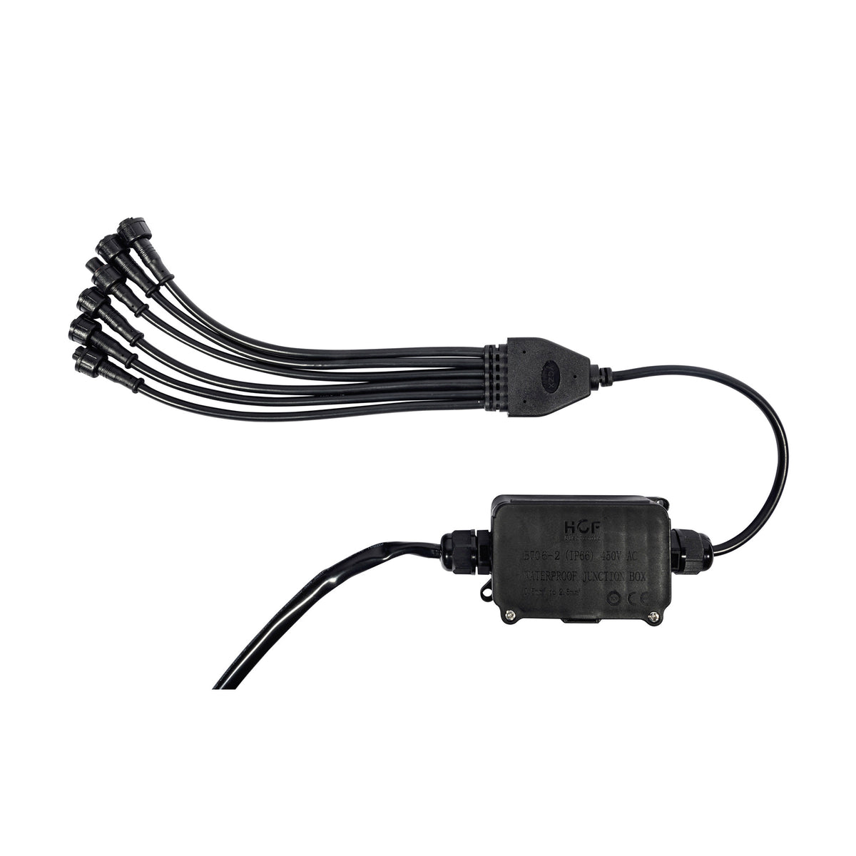 339_Aux_Light_4.jpg