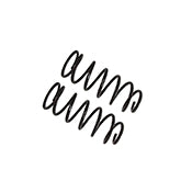 Bilstein B12 Special Rear Coil Spring Set 36-281824 - view 2