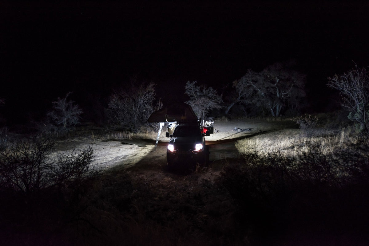 519_Aux_Light_23.jpg