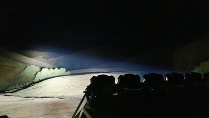 91339_Vehicle_Light_System_10.jpg