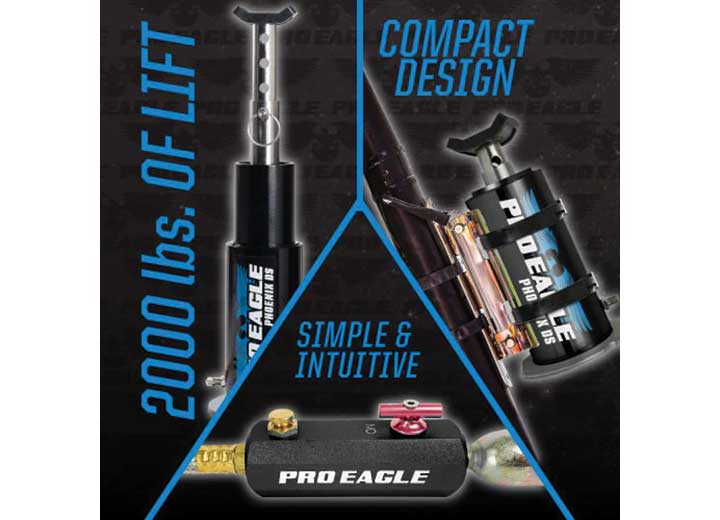 BLACK DUAL STAGE CO2 JACK