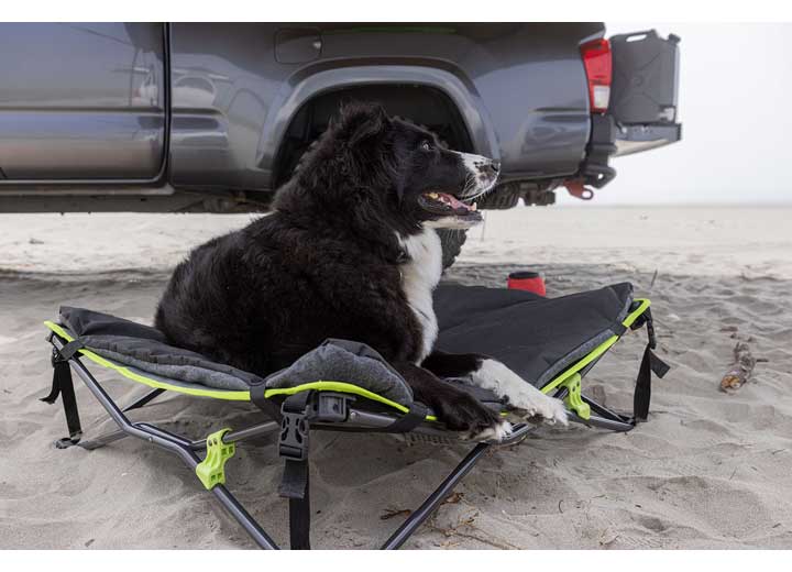 QUICKFOLD PET BED WITH COMFORT MAT Ironman 4x4