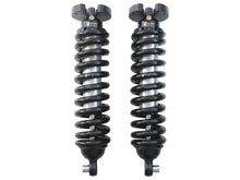ICON Vehicle Dynamics - Coilover Spring and Shock Assembly