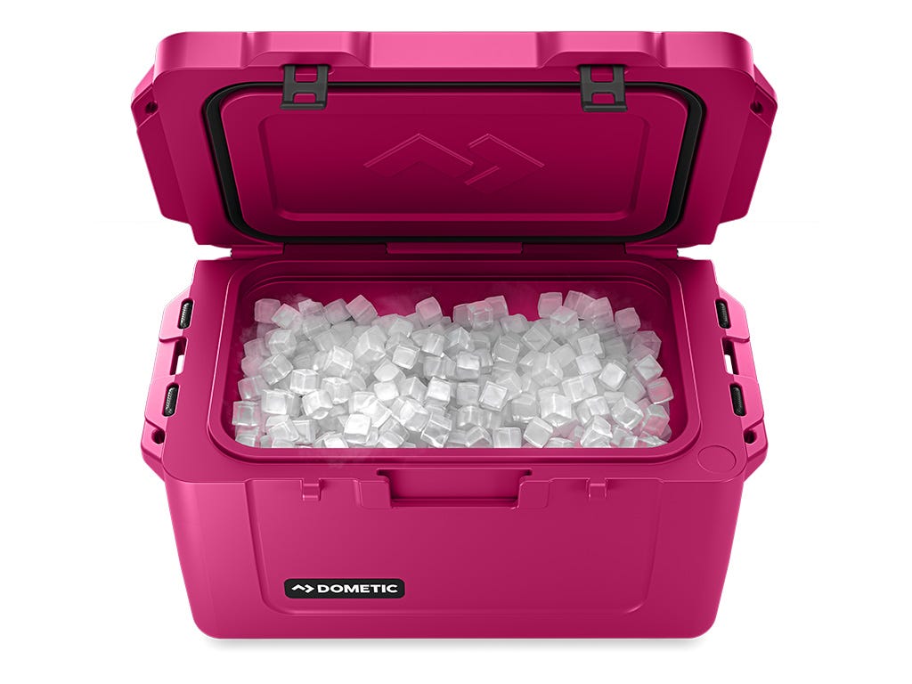 Dometic Patrol 20L Cooler / Orchid Dometic