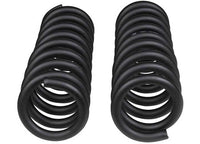 ARB Usa/Old Man Emu - FRONT COIL SPRING SET
