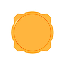 KC HiLiTES - KC Shield Pro6 Gravity LED 6in Amber EA